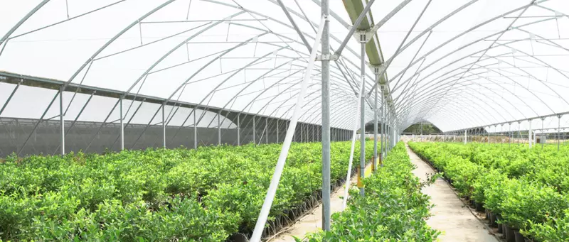 Automation & Controller Integration – Smart Irrigation & Climate Control Service