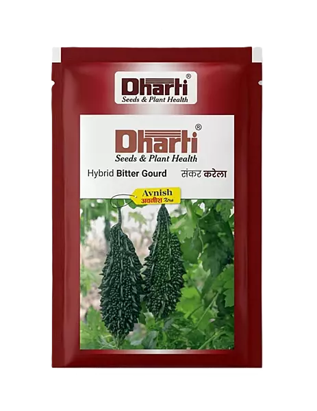 AVNISH XTRA HYBRID BITTER GOURD