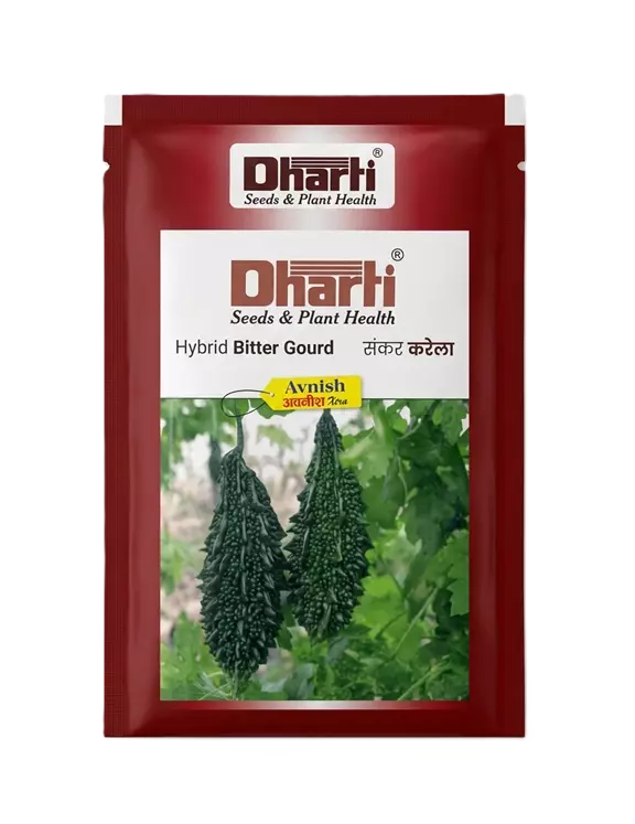 AVNISH XTRA HYBRID BITTER GOURD