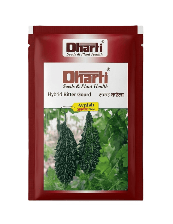 AVNISH XTRA HYBRID BITTER GOURD