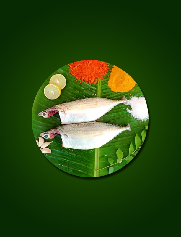 AYALA  -(CLEANED )  -  WHOLE- Wt- 500 gm