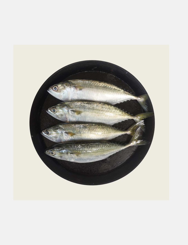 AYALA / MACKREAL - (WHOLE ) - -500 gm