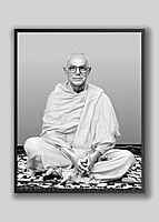 Swami Prameyananda - Vice-President (2009 – 11)