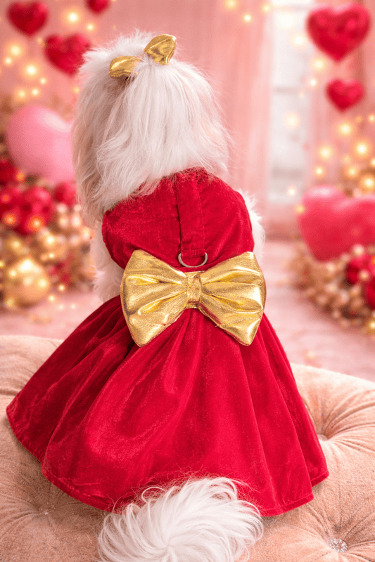 Red and Golden Velvet Dress