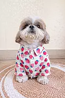 Strawberry Shirt