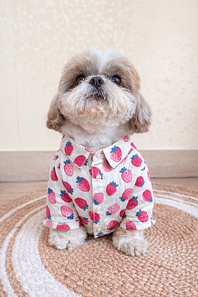 Strawberry Shirt