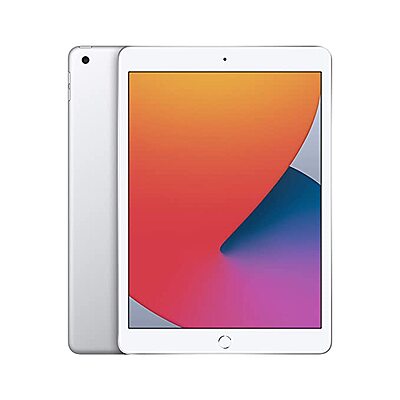 New Apple iPad (10.2-inch, Wi-Fi, 32GB) - Silver (Latest Model, 8th Generation)