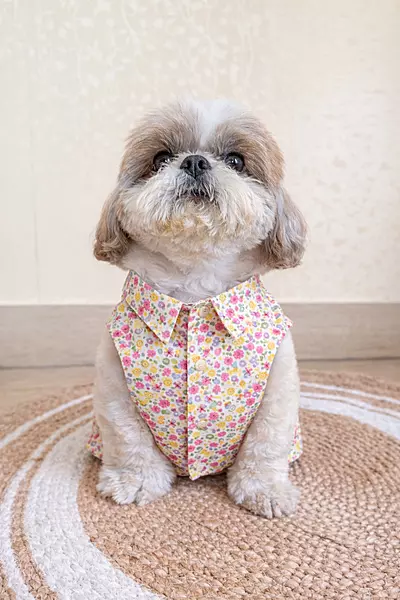 Floral Shirt for Dogs