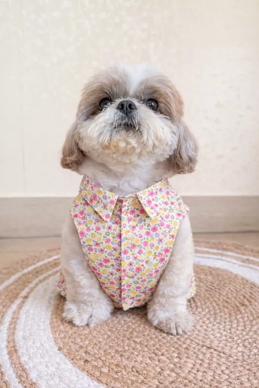 Floral Shirt for Dogs