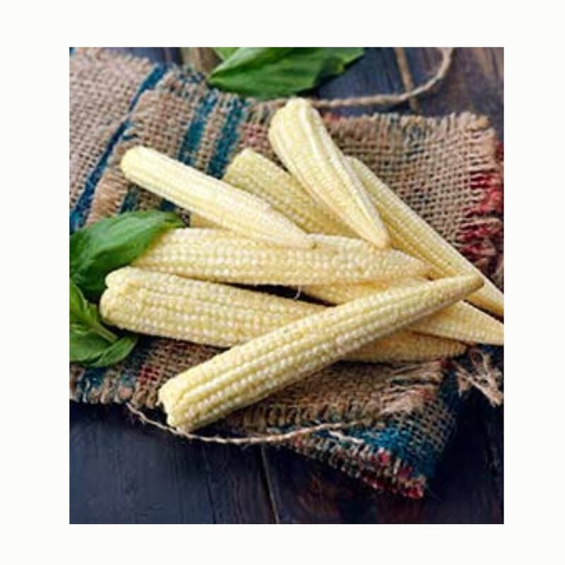 BABY CORN (1Pack)