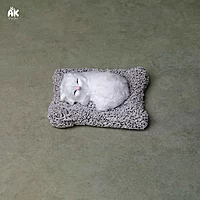 Sleeping Cat