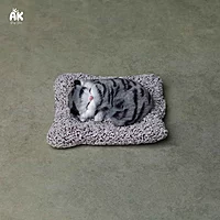 Sleeping Cat