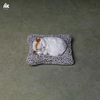 Sleeping Cat