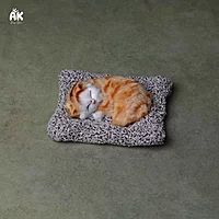Sleeping Cat