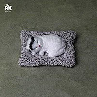 Sleeping Cat