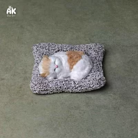 Sleeping Cat