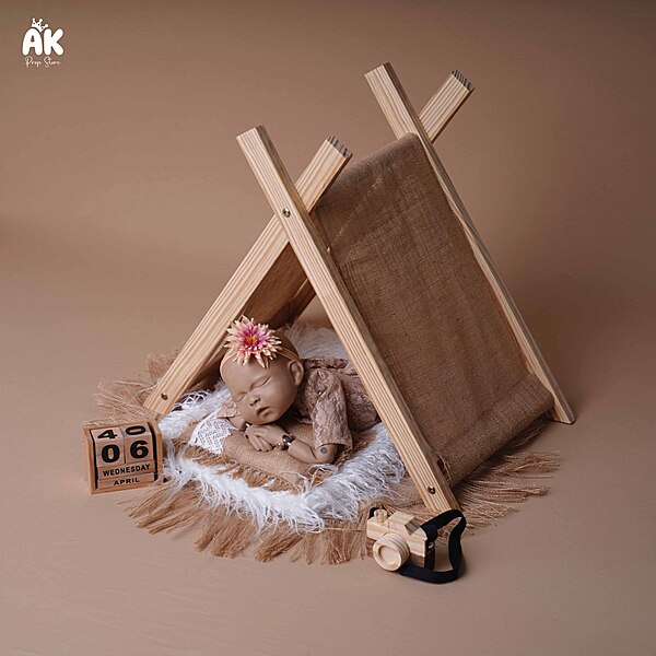 Camp Tent Theme - Newborn