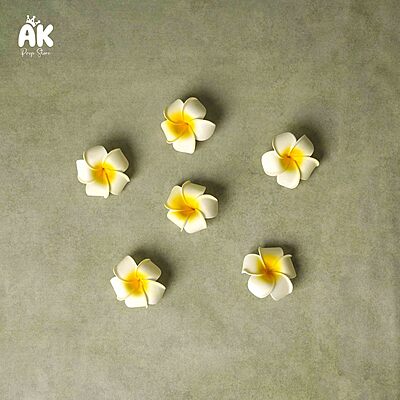 Hawaii Flowers - Set of 5