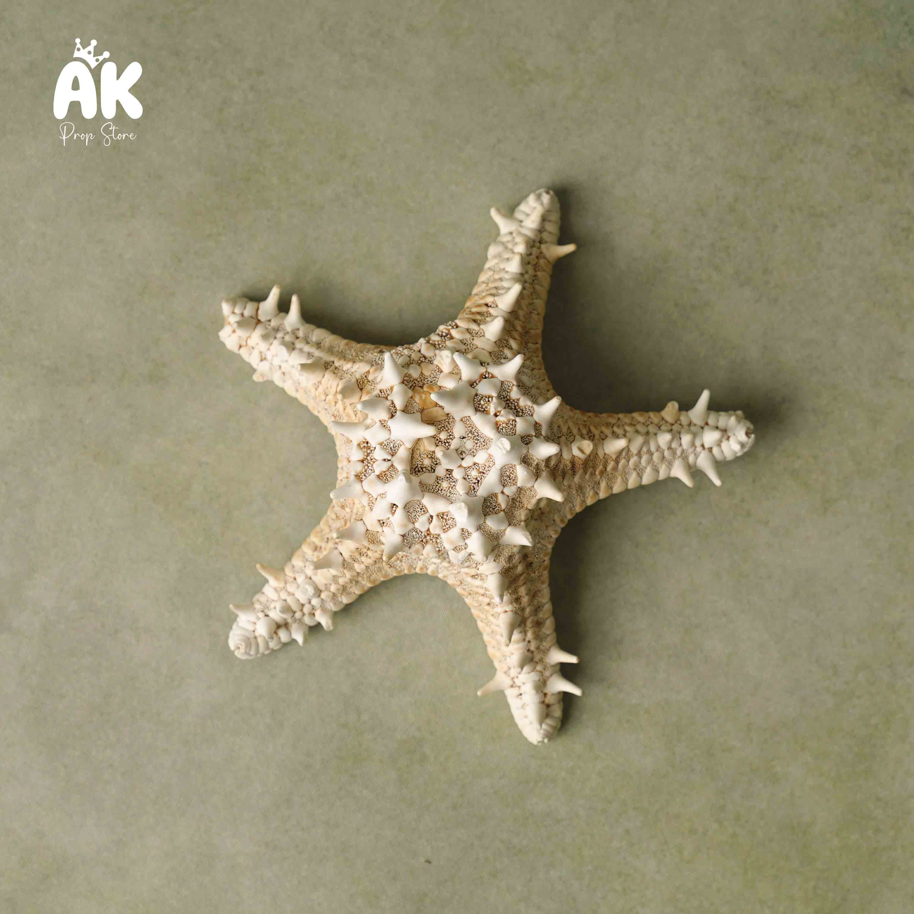 Star Fish