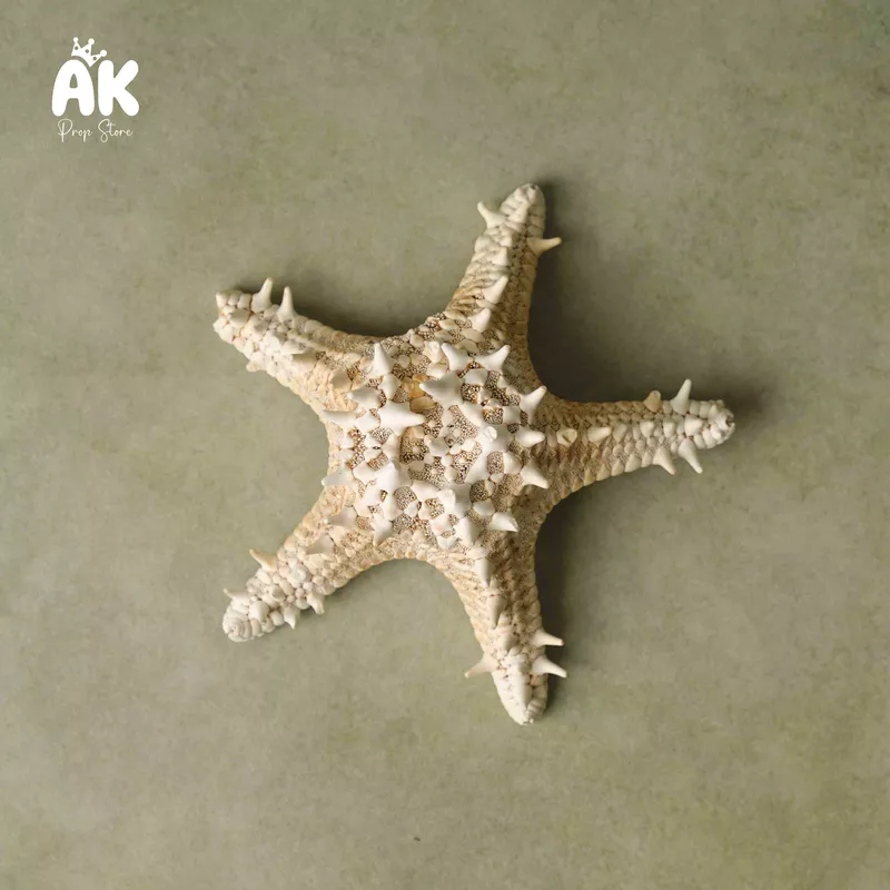 Star Fish