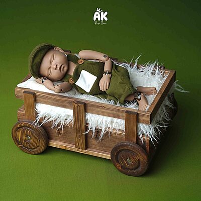 Pull Cart Theme - New Born Pull Cart Theme - New Born