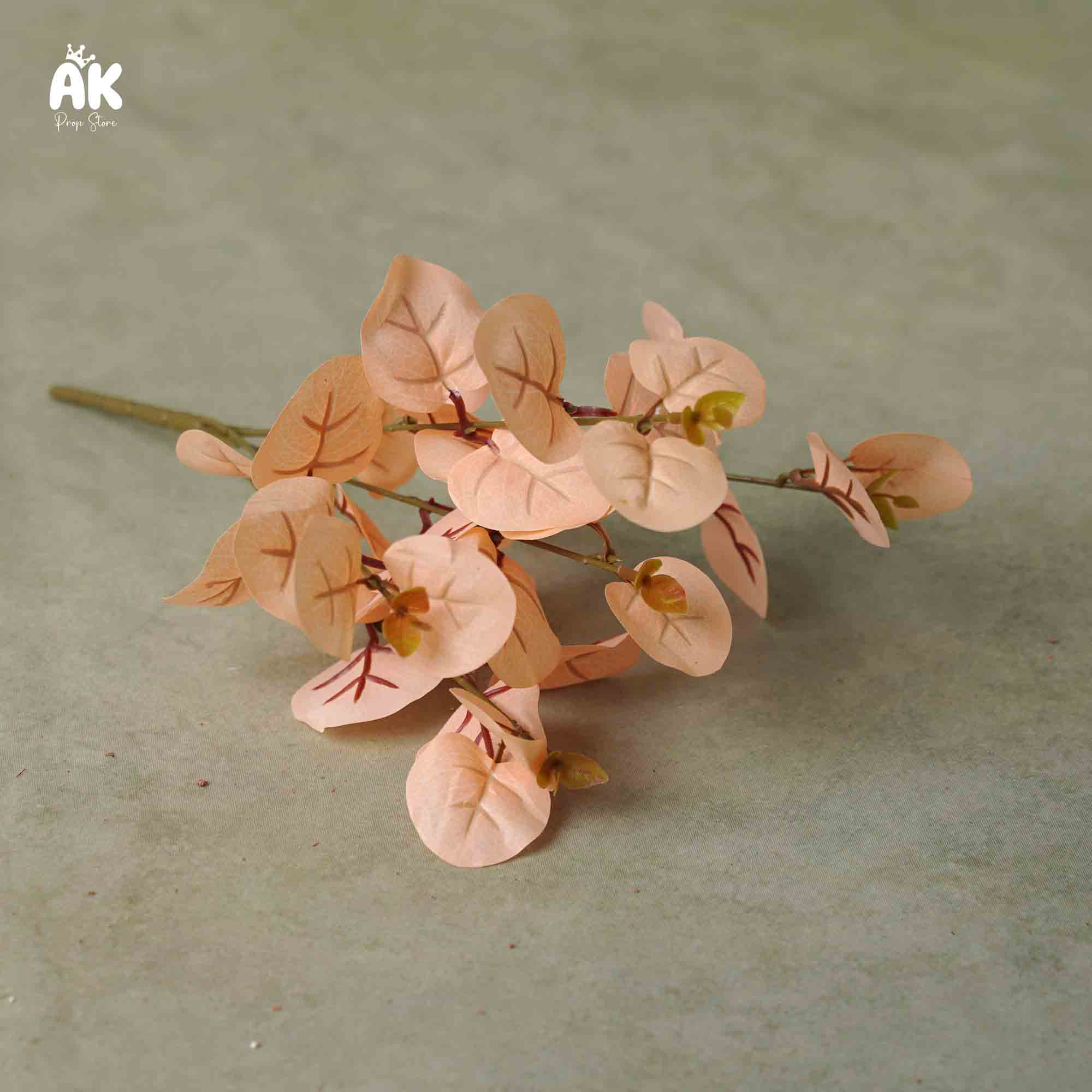 Small Eucalyptus bunch