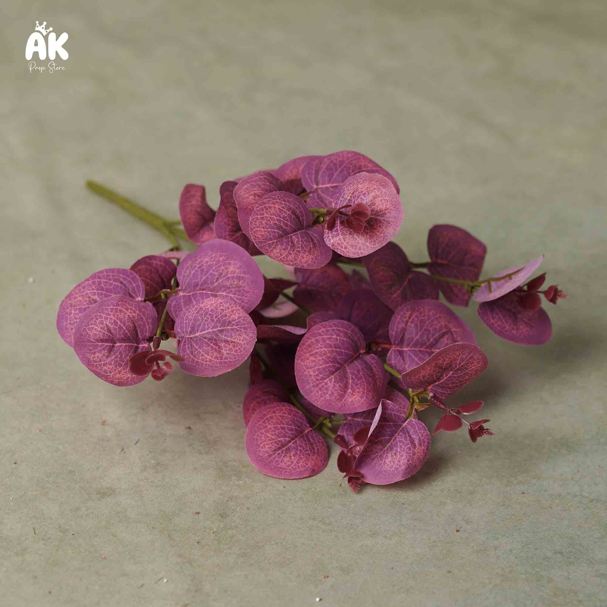 Small Eucalyptus bunch