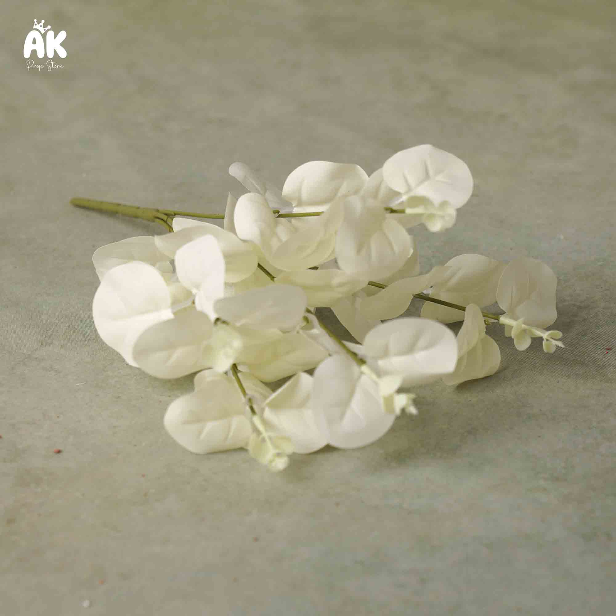 Small Eucalyptus bunch