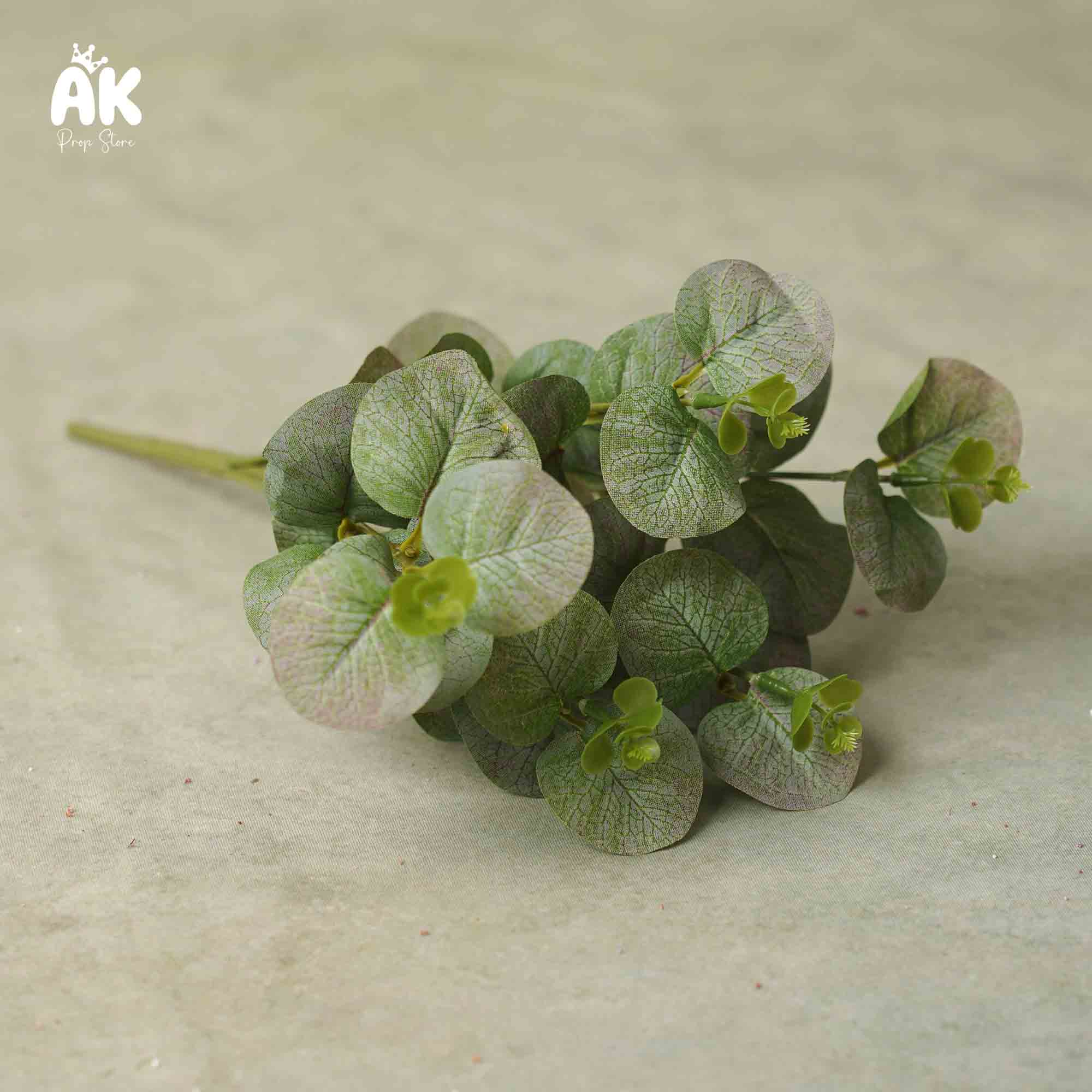 Small Eucalyptus bunch