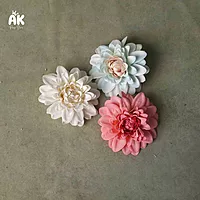 Single Dahlia