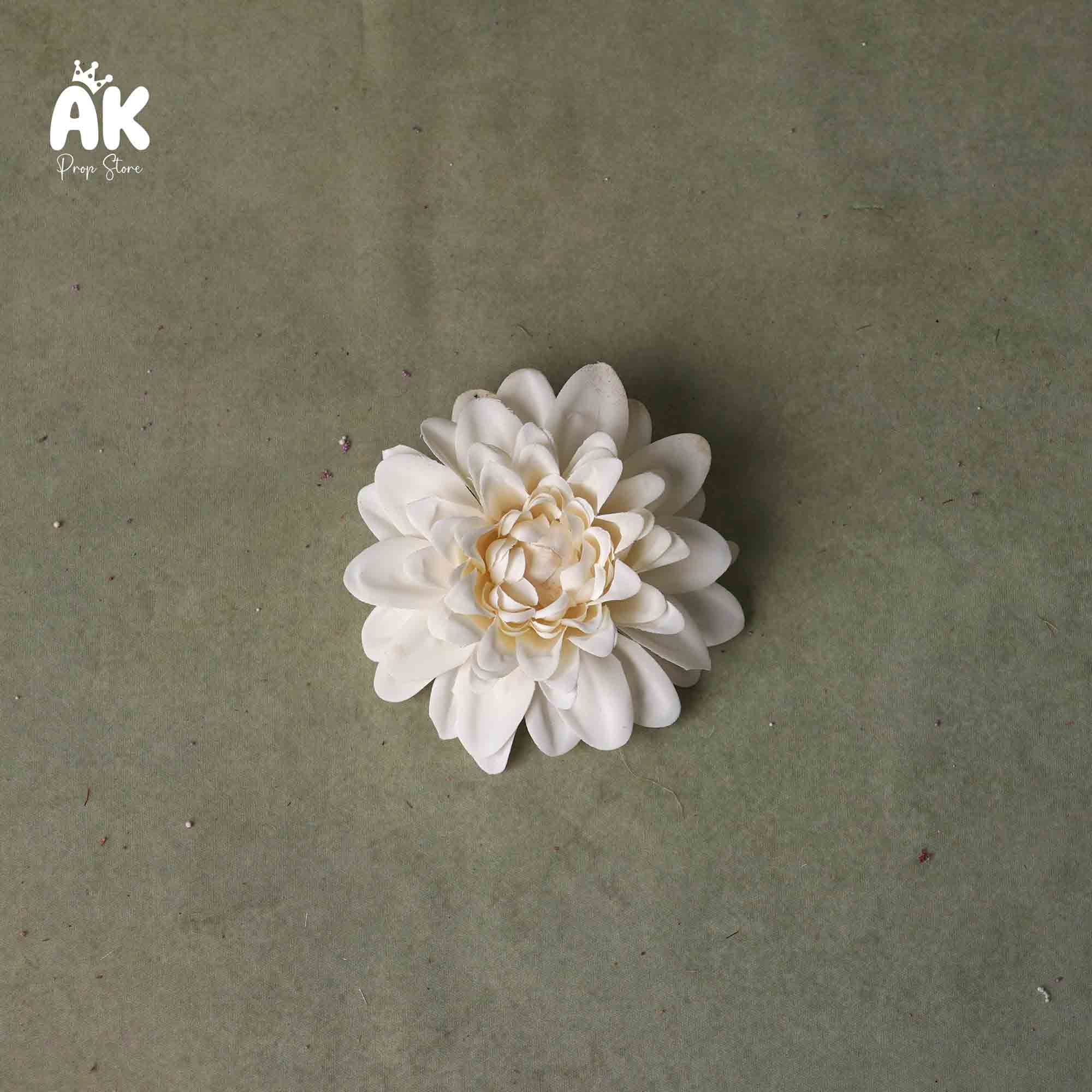 Single Dahlia