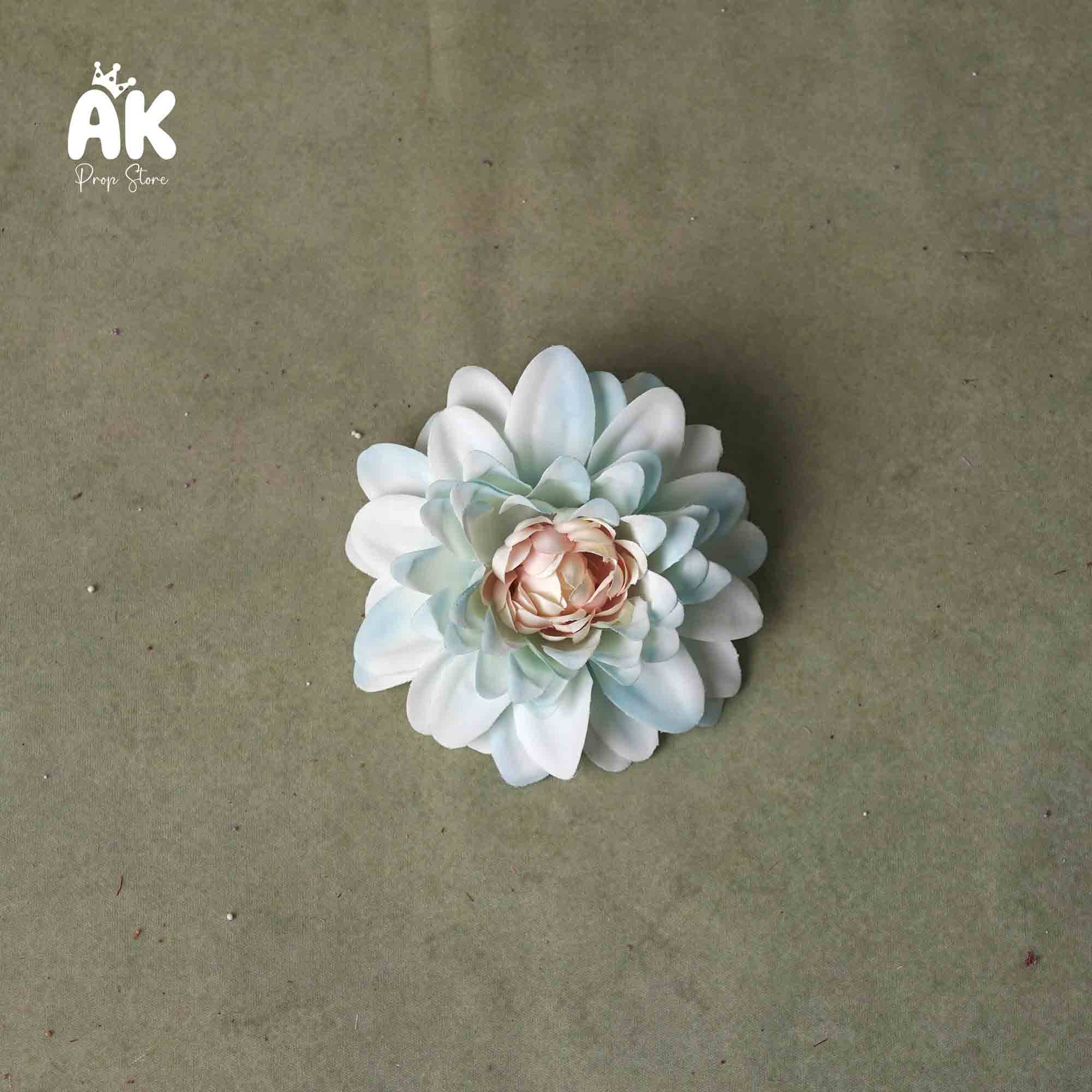 Single Dahlia