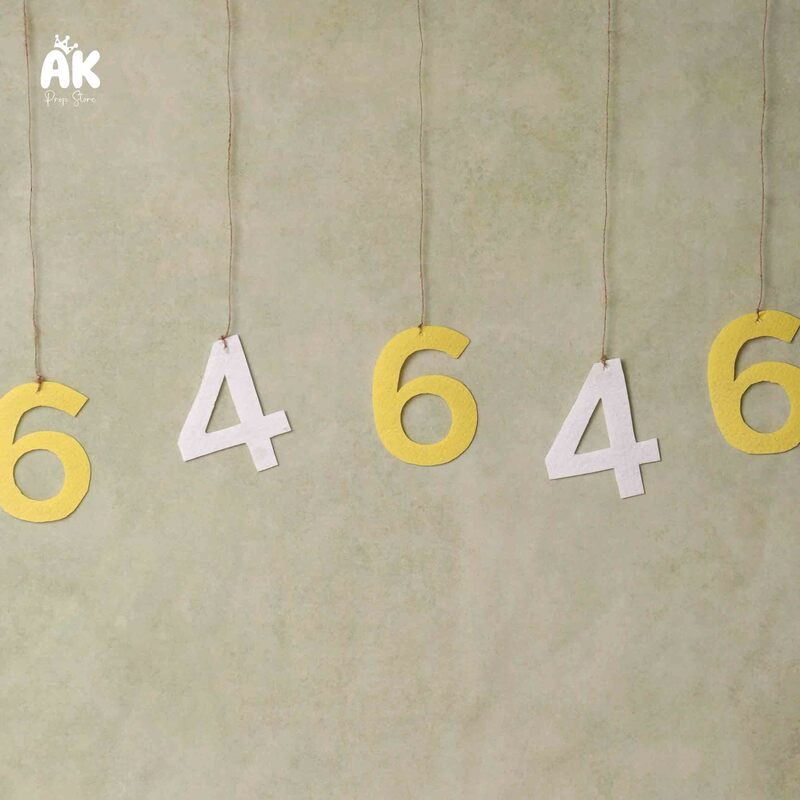 Six & Four Felt Banner