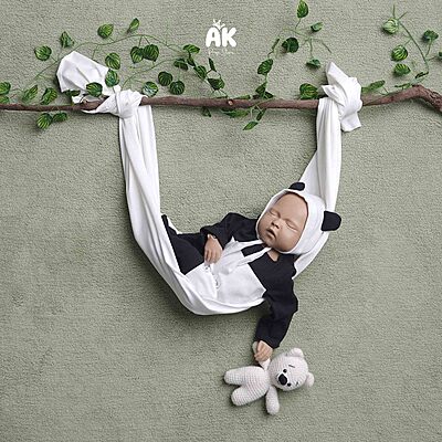 Panda Theme - new Born