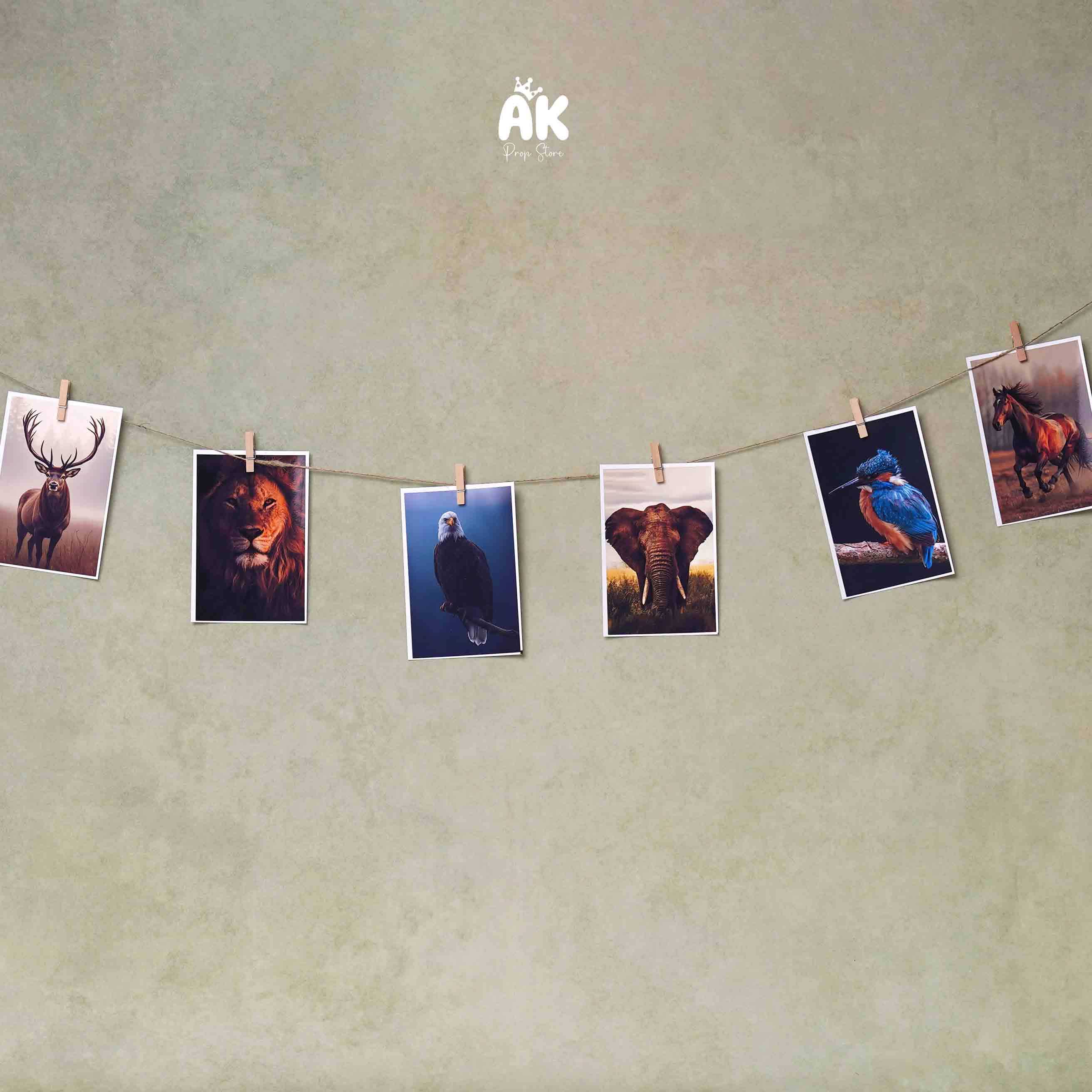 Photo Banner