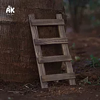 Tiny Ladder