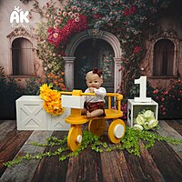 Start-Up Package (8 Themes)