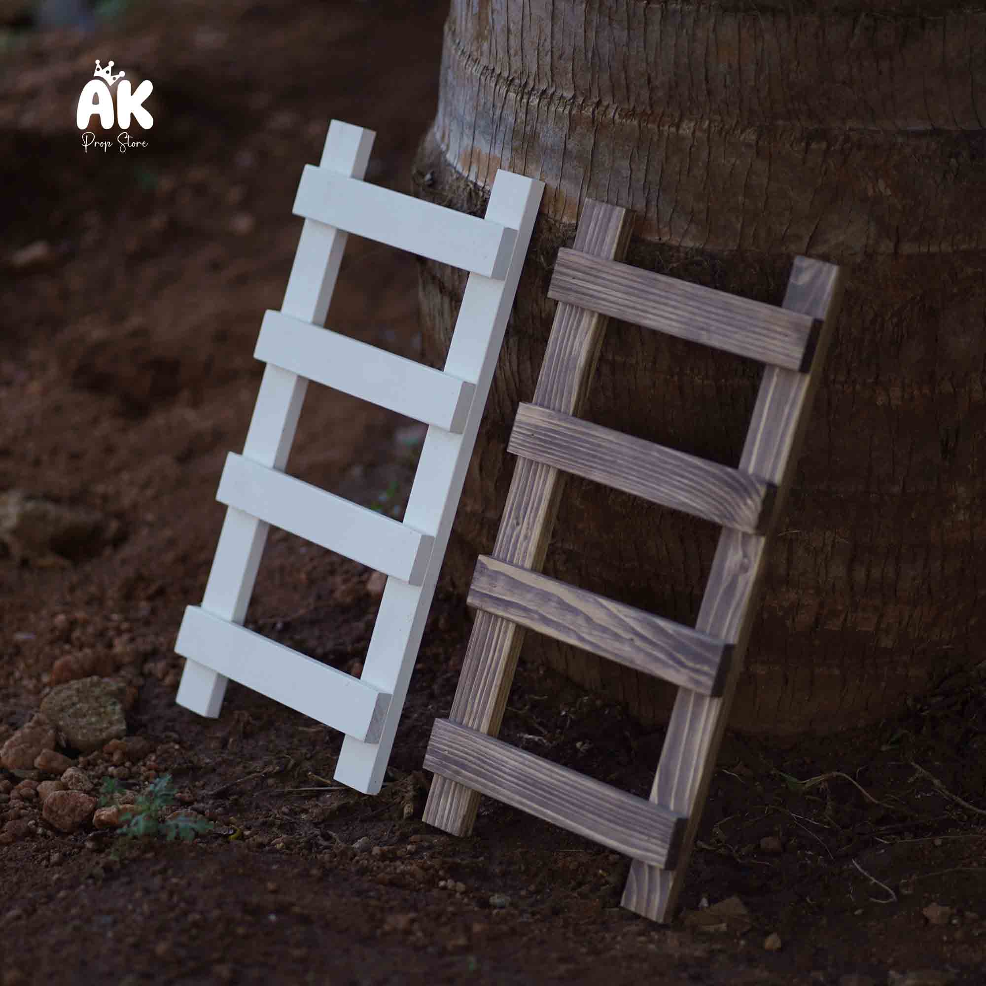 Tiny Ladder