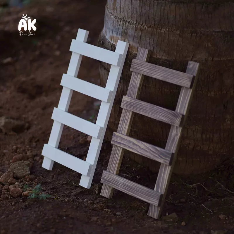 Tiny Ladder