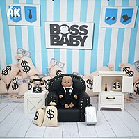 Start-Up Package (8 Themes)