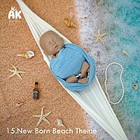 Start-Up Package (19 Themes)