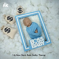 Start-Up Package (19 Themes)