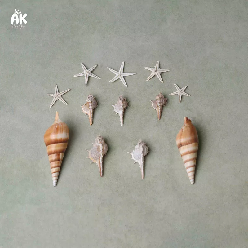 Seashell Pack