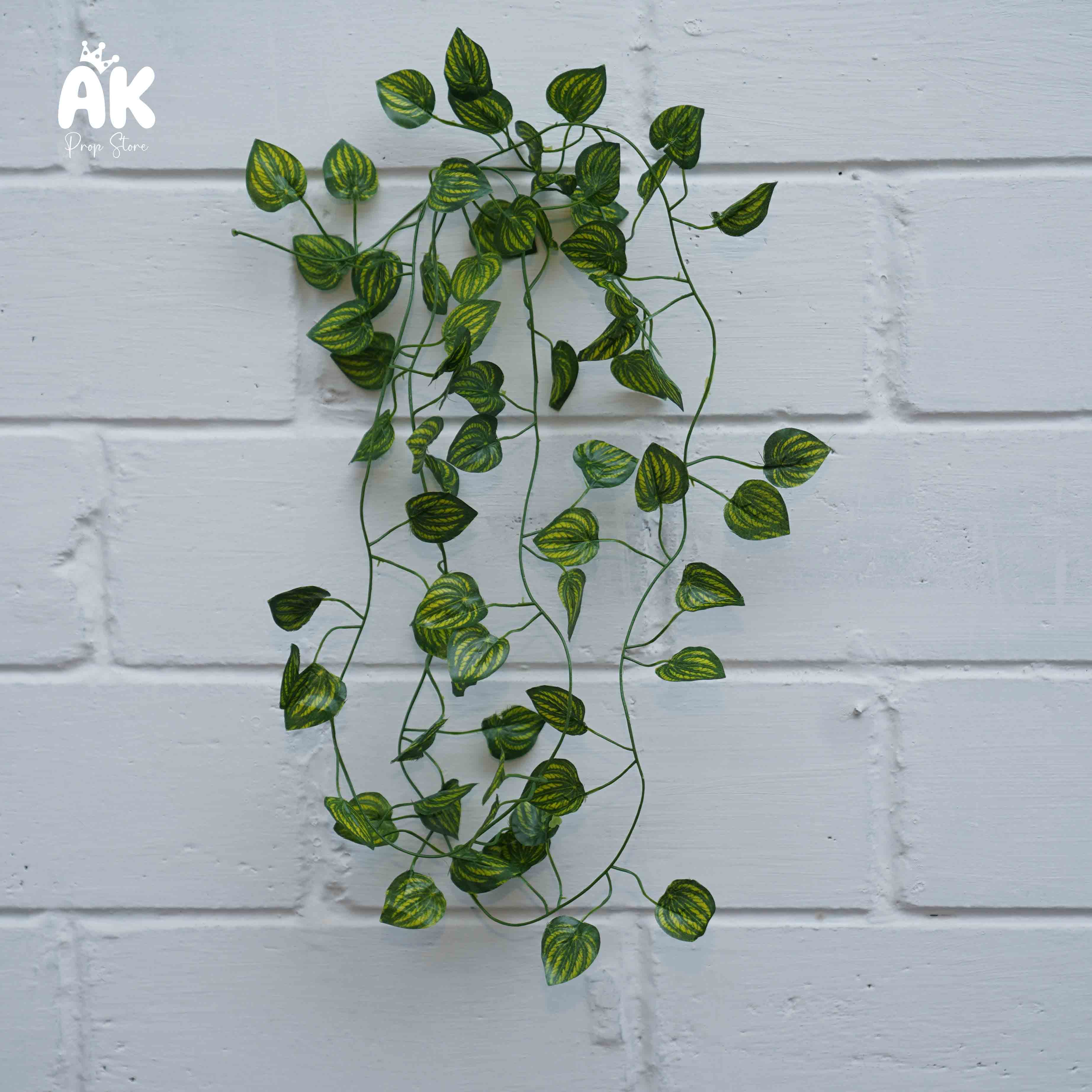 Ivy Creeper