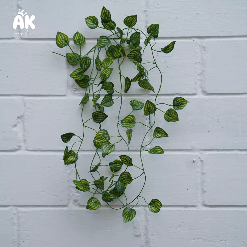 Ivy Creeper