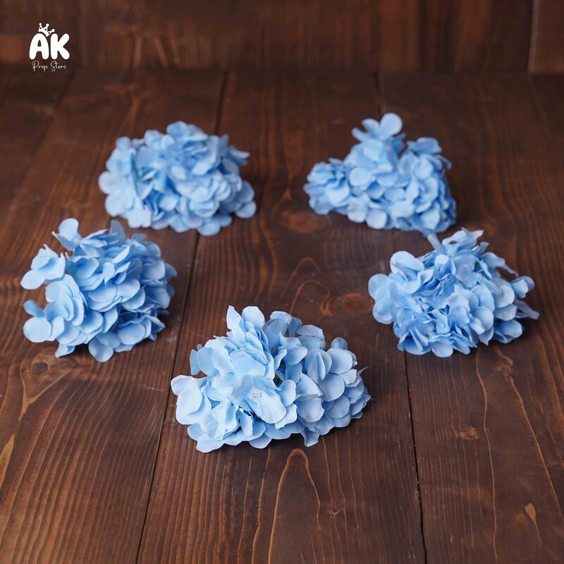 Hydrangea Heads - Set of 5