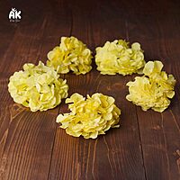 Hydrangea Heads - Set of 5