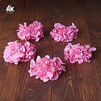Hydrangea Heads - Set of 5