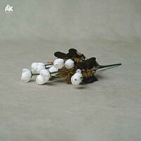 Small Peony Bunch V2