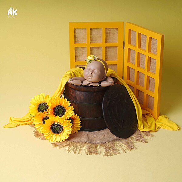 Bumblebee Theme  - Newborn